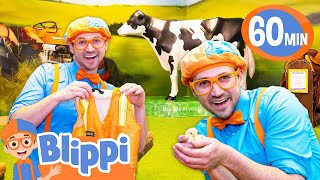 Blippis Occupation Exploration  Blippi  Educational Videos for Kids [upl. by Hilliard]