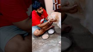 Dinner time ❤️ getwellsoon doglover dog labrador pets unconditional love nditional [upl. by Nilkcaj]