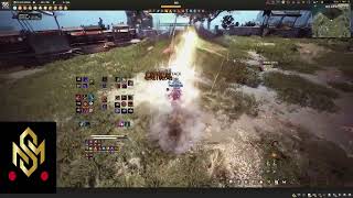 BDO Ninja Awakening 240211 PvP Montage [upl. by Cyma119]