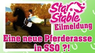 Eilmeldung  Eine neue Pferderasse in SSO [upl. by Monafo]