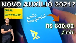 NOVO AUXÍLIO EMERGENCIAL EM 2021   PROGRAMA SEGURO FAMÍLIA PODE PAGAR ATÉ R 80000 PRA ALGUNS [upl. by Idnem]