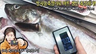 긴장타도록 방사능측정기로 마트 생선을 측정해보았다  허팝 Nuclear Radiation Test [upl. by Rubia]