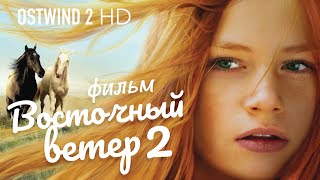 Восточный ветер 2 Ostwind 2 Фильм HD [upl. by Neelyak]