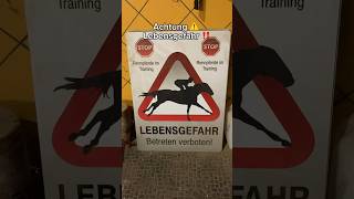 ACHTUNG Rennpferde ‼️🥵 shorts horse [upl. by Letti]