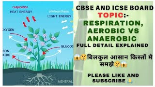 life process l what is respiration l aerobic vs anaerobic [upl. by Heigl258]