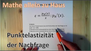 Punktelastizität der Nachfrage [upl. by O'Dell]