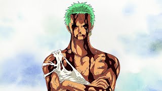 Zoro Takes All of Luffys Excruciating Pain  One Piece 377 [upl. by Levy]