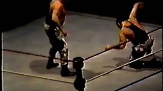 WWF in San Jose January 14th 1994 handheld [upl. by Eidarb]