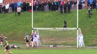 Irish Daily Mail Fitzgibbon Cup Secondhalf Highlights  UL 113 LIT 216 [upl. by Yuji]