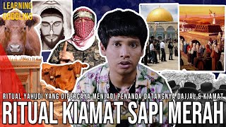 Ritual Sapi Merah Panggil Dajjal Dipersiapkan Israel Jadi Alasan Serangan Hamas  LearningGoogling [upl. by Behka]