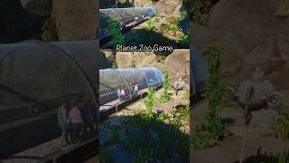 Подводный туннель  планет зоо  planet zoo  under water planetzoo planetzoogame игры games [upl. by Hesky]