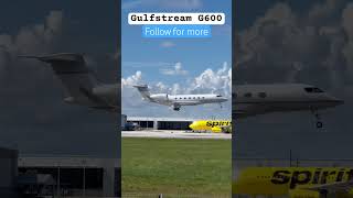 Gulfstream G600 Private Jet [upl. by Aicirtak]