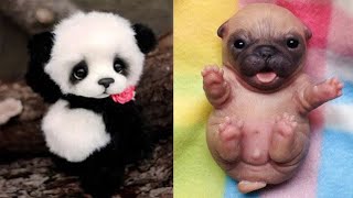 Cute baby animals Videos Compilation cute moment of the animals  Cutest Animals 44 [upl. by Nangatrad]