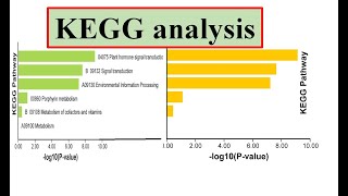 KEGG analysis kegg database genomewidestudy [upl. by Hoon]