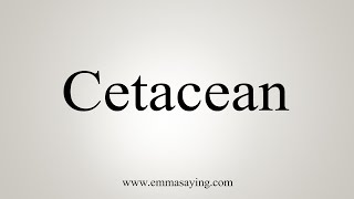 How To Say Cetacean [upl. by Cornelia]