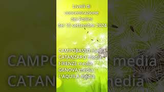 15 settembre 24 Livelli di concentrazione dei pollini previsti in Italia Short [upl. by Thgiwd138]