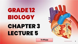 G12 BIO CHAPTER 3 LECTURE 5 [upl. by Stefano]