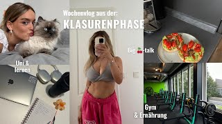 PRODUKTIVER VLOG Meine letzte Klausur im Studium Lernplan erstellen Gym  Abnahme amp big 🍒Talk [upl. by Dleifrag879]