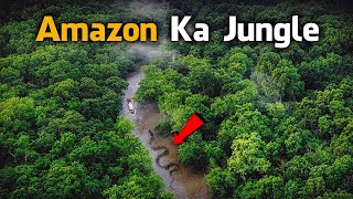 Most Dangerous Animals Of Amazon Rainforest  Strange Facts About Amazon Rainforest HindiUrdu [upl. by Suoinuj944]