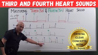 Mastering S3 and S4  Learn Third and Fourth Heart Sounds🫀 [upl. by Bolten]