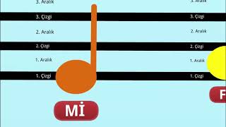 Notaların dizek üzerindeki yerleri [upl. by Delphine]