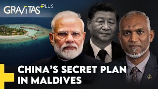 Gravitas Plus China the real mastermind behind IndiaMaldives diplomatic storm [upl. by Yttel]