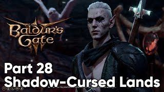 Baldurs Gate 3 Walkthrough Part 28 Shadow Cursed Lands Full release PC [upl. by Kal530]