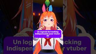 Vseeface  ce logiciel de tracking indispensable pour Vtuberavatar 3D  vtuberfr 3d tutoriel [upl. by Ylimme]