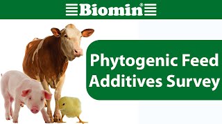 WEBINAR 2018 BIOMIN Phytogenic Feed Additives Survey [upl. by Reggi97]