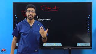 Nucleus  General Histology Lec 3 Part 2  Dr Amro Ashraf [upl. by Naomi]