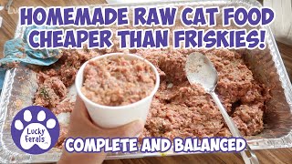 Homemade Raw Cat Food Recipe Thats Cheaper Than Friskies S6 E3 Complete Balanced Raw Cat Food [upl. by Harv]