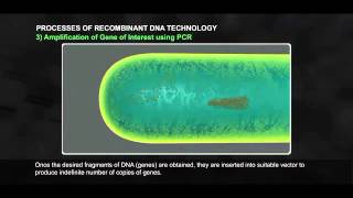 Processes of Recombinant DNA Technology Part 1 512 1 [upl. by Clougher]