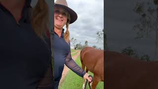 Anxious Horse on the Trail  Confronting fears with Shelli and Romeo [upl. by Cassandre]