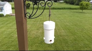 Make DIY Type 1 Cheap amp Easy Small Birds Feeder Squirrel Big Grackle Crow Proof PVC Pipe amp Wood Top [upl. by Aned852]