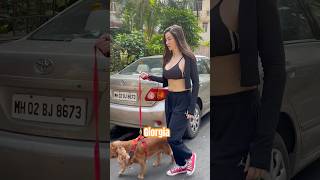 Giorgia Andriani spotted with Dog georgiaandriani BollywoodSamachar7 [upl. by Andris]