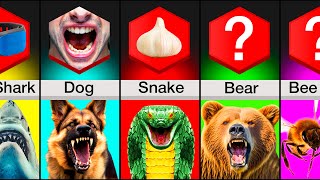 Comparison Animal Attack Survival Tips [upl. by Paloma]