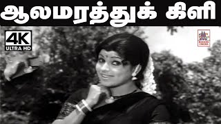 Aala Marathu Kili Song சங்கர்கணேஷ் இசையில் வாணிஜெயராம் பாடிய தெம்மாங்கு பாடல் ஆலமரத்து கிளி [upl. by Akienaj]