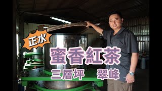 蜜香紅茶｜紅茶的乳化作用｜教你如何泡好蜜香紅茶 茶葉泡法說明｜高海拔小葉種紅茶｜產地三層坪、翠峰 [upl. by Riobard]