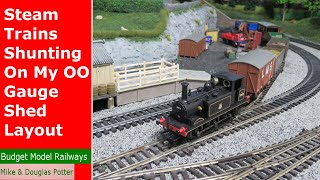 Steam Trains Shunting On My OO Gauge Shed Layout  Hornby Terrier  Part 8 [upl. by Sarat]