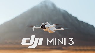 Meet DJI Mini 3 [upl. by Ueih394]