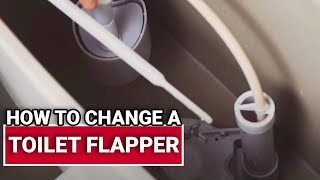 How To Replace A Toilet Flapper  Ace Hardware [upl. by Rodolph]