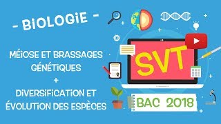 LIVE2018  Révisions BAC SVT  Génétique et évolution [upl. by Mok687]