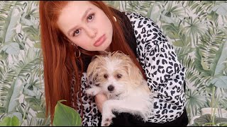 Everything you wanted and didn’t want to know  Madelaine Petsch [upl. by Lerred]