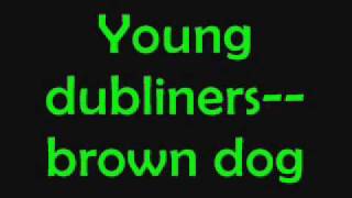 Young dublinersbrown doglyrics [upl. by Leanor]