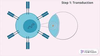 Use of CRISPRCas9 in CART cell Therapy [upl. by Shaina293]