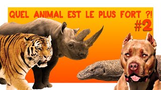 QUEL ANIMAL EST LE PLUS FORT  2  Tigre Dragon de Komodo Pitbull Rhinocéros [upl. by Aynnat]