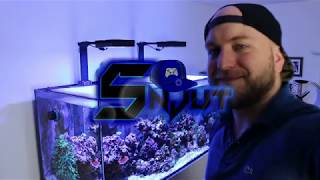 REVIEW  Dosieranlage  DD H2Ocean Pro  Meerwasser Aquarium  Snjut [upl. by Ylak]