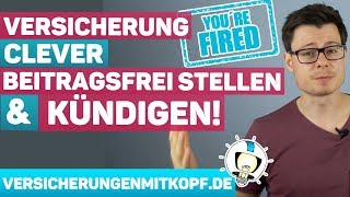 Versicherung BEITRAGSFREI stellen und KÜNDIGEN  So machst du es CLEVER [upl. by Tihor]