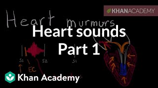 Systolic murmurs diastolic murmurs and extra heart sounds  Part 1  NCLEXRN  Khan Academy [upl. by Mellar]