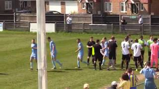 Molesey v Hayes amp Yeading Utd  GOALS  20th April 2019 [upl. by Annavahs]